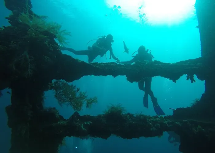 Resort Ocean View Dive & Tulamben (Bali)