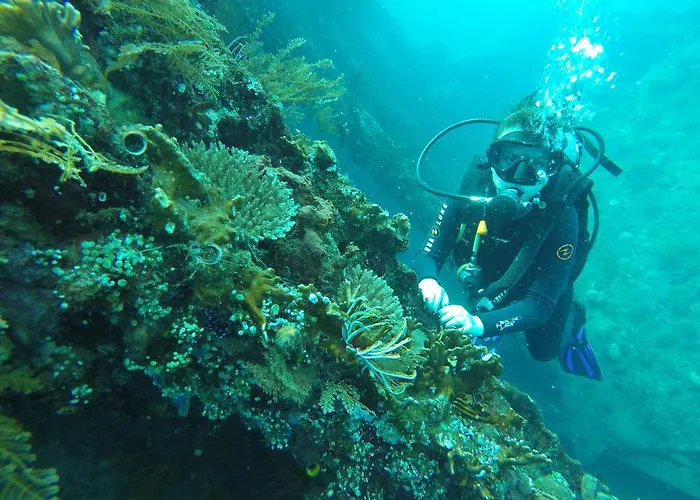 Ocean View Dive & 3* Tulamben (Bali)