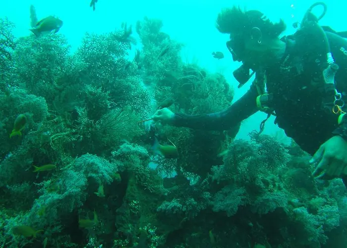 Ocean View Dive & Resort Tulamben (Bali)