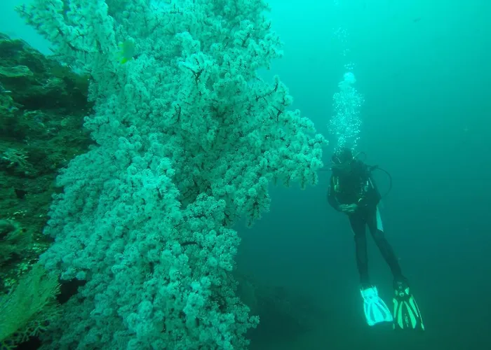 Ocean View Dive & Resort