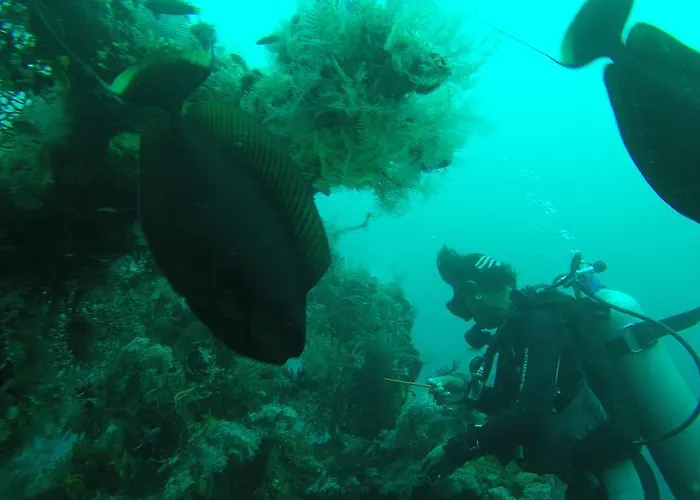 Ocean View Dive & 3*